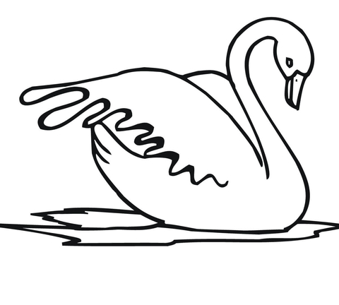 Swan Water Bird Coloring Page